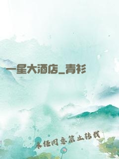 一星大酒店