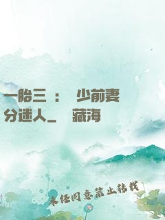 一胎三寶：陸少前妻過分迷人