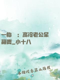 一胎兩寶：高冷老公呆萌妻