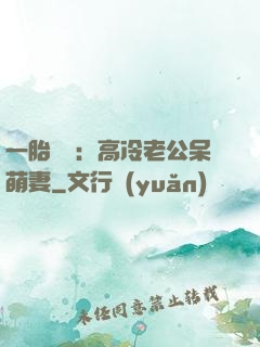 一胎兩寶：高冷老公呆萌妻