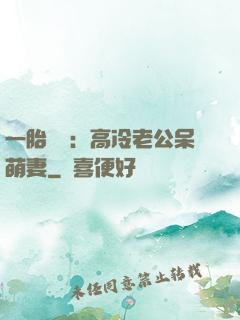 一胎兩寶：高冷老公呆萌妻