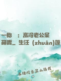 一胎兩寶：高冷老公呆萌妻