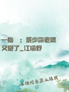 一胎雙寶：景少你老婆又跑了