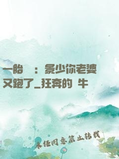 一胎雙寶：景少你老婆又跑了
