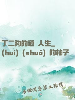 丁二狗的逍遙人生