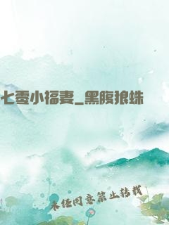七零小福妻