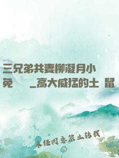 三兄弟共妻柳凝月小說免費閱讀