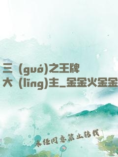 三國(guó)之王牌大領(lǐng)主