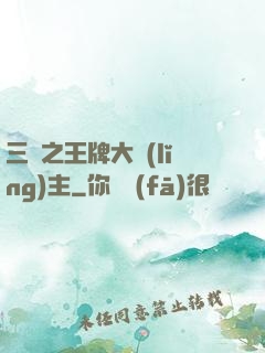 三國之王牌大領(lǐng)主