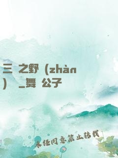 三國之野戰(zhàn)無雙