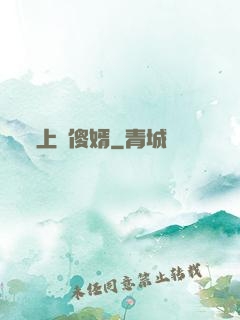上門傻婿