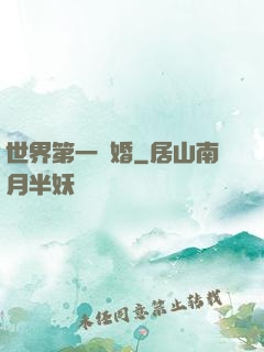 世界第一軍婚