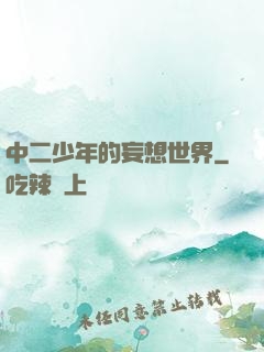中二少年的妄想世界