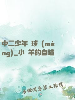 中二少年籃球夢(mèng)