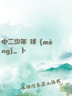 中二少年籃球夢(mèng)