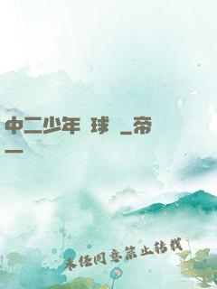 中二少年籃球夢