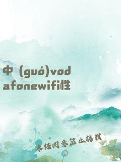 中國(guó)vodafonewifi性