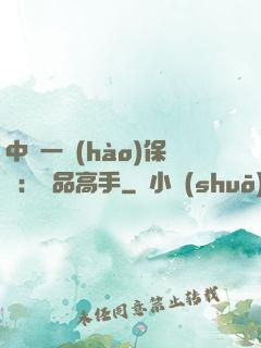 中華一號(hào)保鏢：極品高手