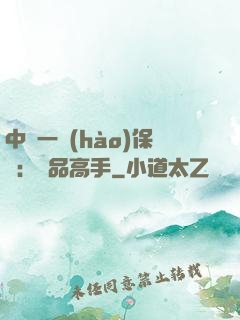 中華一號(hào)保鏢：極品高手