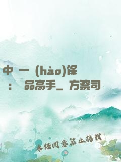 中華一號(hào)保鏢：極品高手