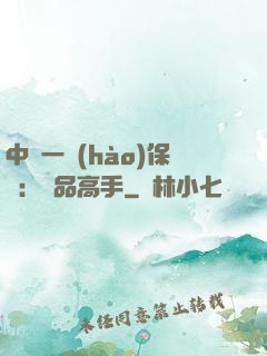 中華一號(hào)保鏢：極品高手
