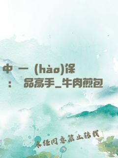 中華一號(hào)保鏢：極品高手