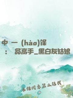 中華一號(hào)保鏢：極品高手