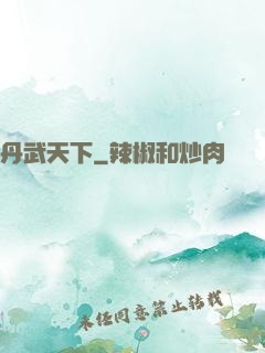 丹武天下