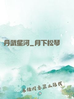 丹武星河