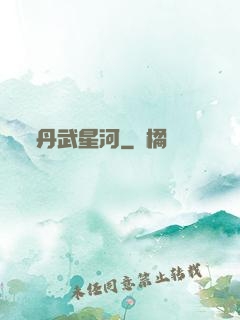 丹武星河