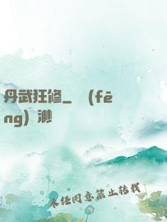 丹武狂修