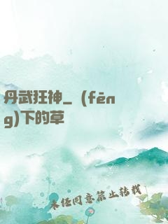 丹武狂神
