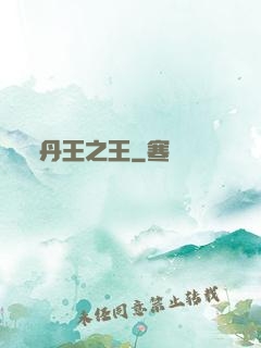 丹王之王