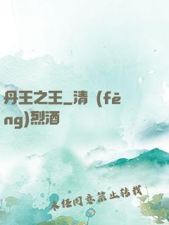 丹王之王