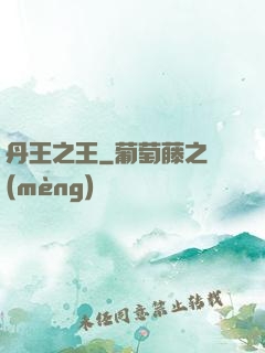 丹王之王