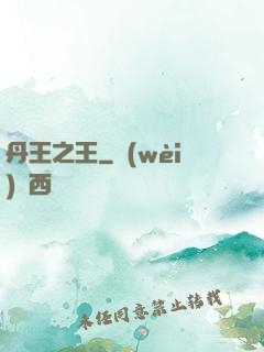 丹王之王