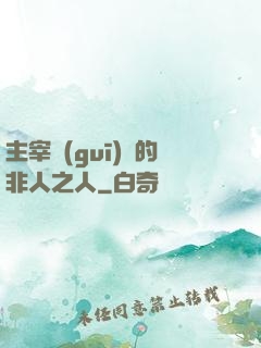 主宰規(guī)則的非人之人