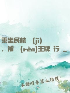 乘坐民航飛機(jī)，被誤認(rèn)王牌飛行員