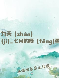 九天戰(zhàn)紀(jì)