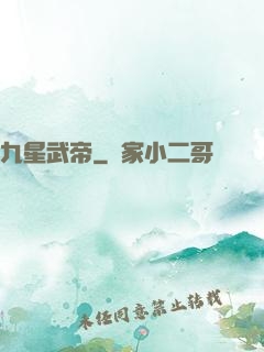 九星武帝