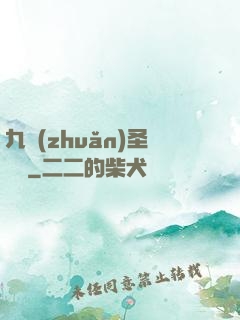 九轉(zhuǎn)圣靈訣