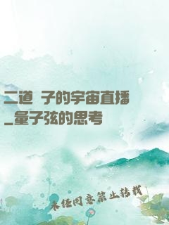 二道販子的宇宙直播間