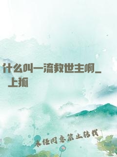 什么叫一流救世主啊