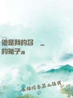 他是我的召喚獸