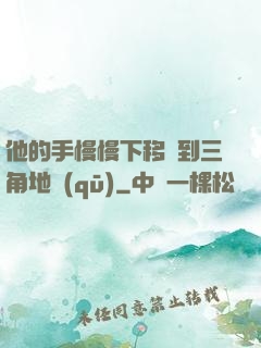 他的手慢慢下移來到三角地區(qū)