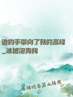 他的手攀向了我的高峰