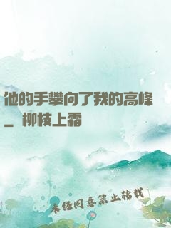他的手攀向了我的高峰