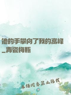 他的手攀向了我的高峰
