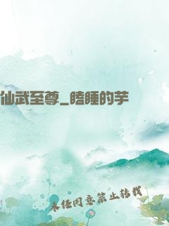 仙武至尊
