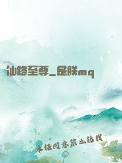 仙路至尊
